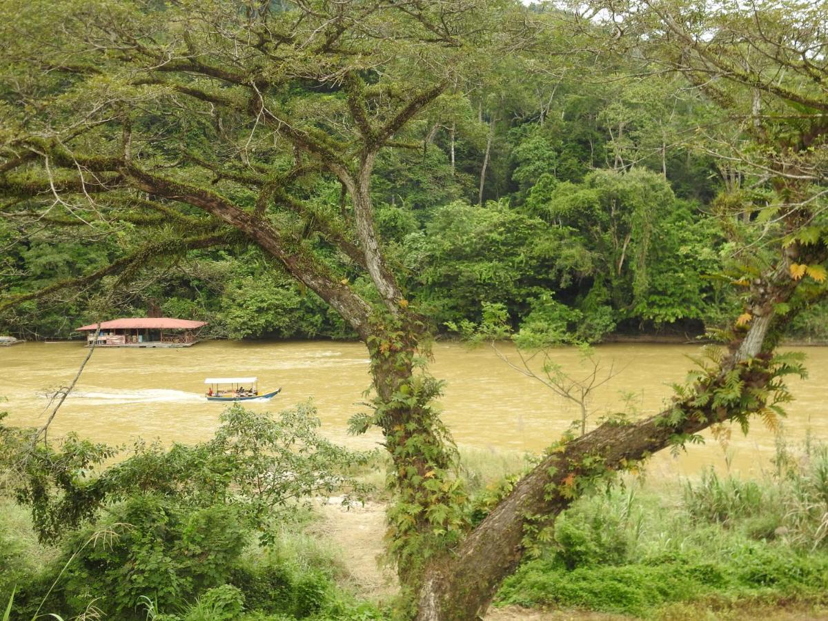 Tebing Guest House Taman Negara Malaysia Kuala Tahan Exterior foto