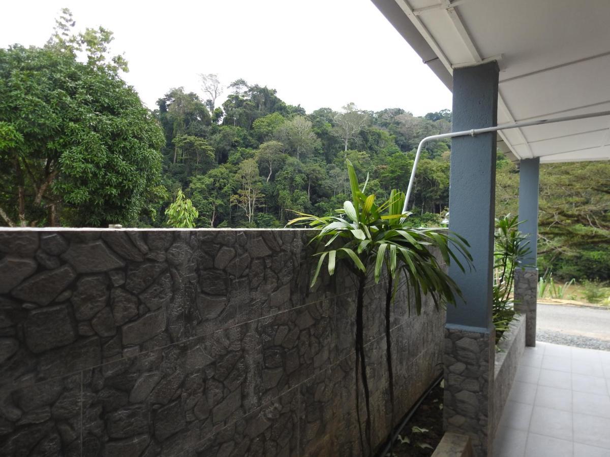 Tebing Guest House Taman Negara Malaysia Kuala Tahan Exterior foto