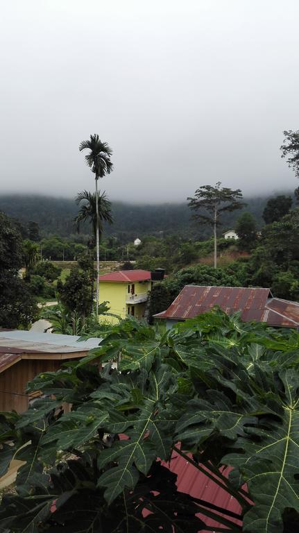 Tebing Guest House Taman Negara Malaysia Kuala Tahan Exterior foto